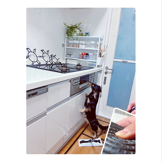 yukoさんの実例写真