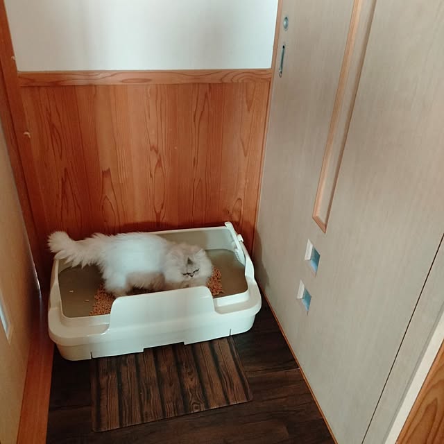 makaronさんの実例写真