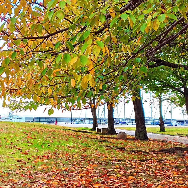 mariaさんの部屋