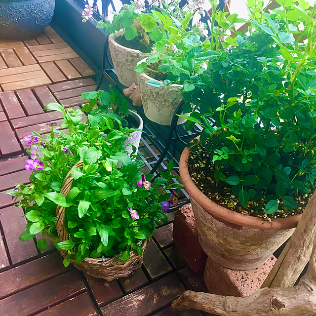 naokoさんの部屋