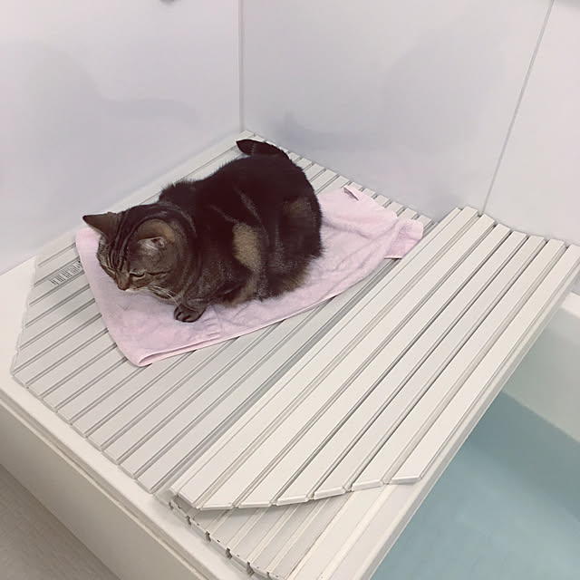 mikomaruさんの実例写真