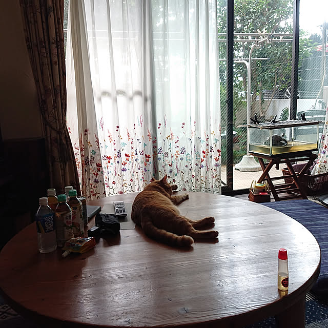 okyosan101さんの実例写真