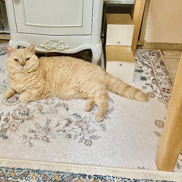 naokoさんの実例写真
