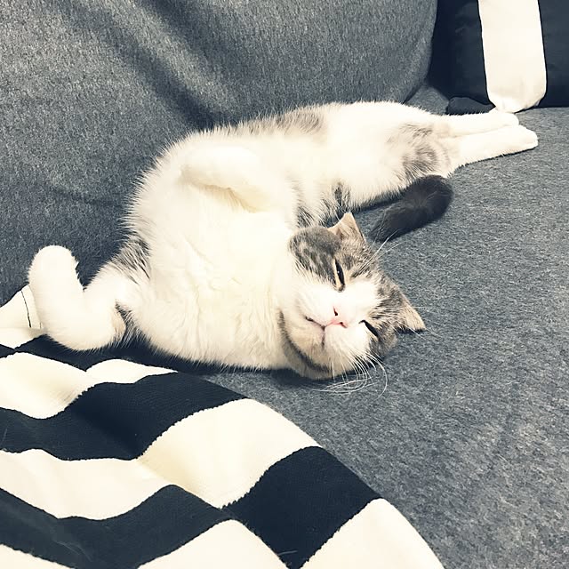 tansukeさんの実例写真