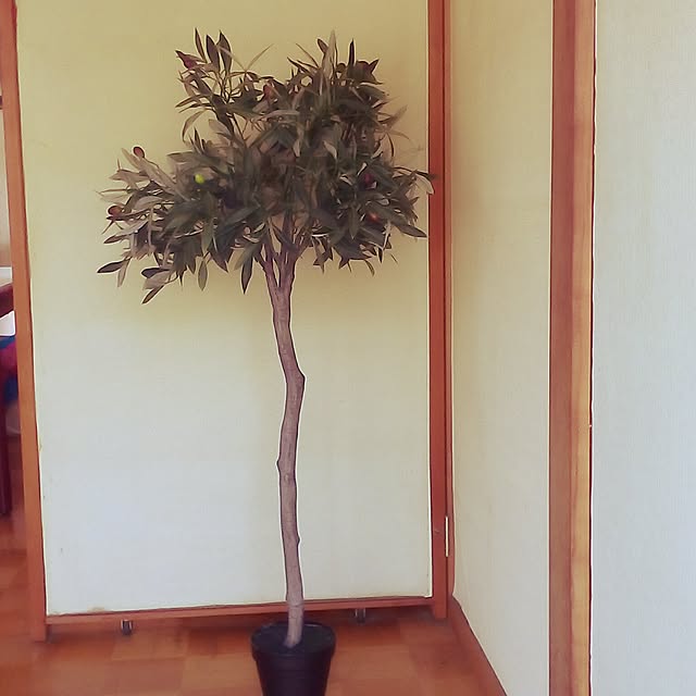 may30さんの実例写真
