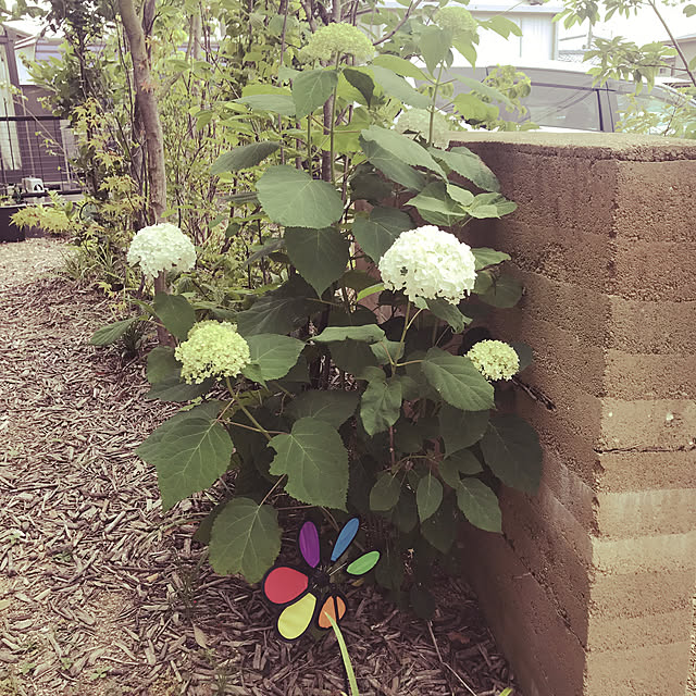 search1132さんの実例写真