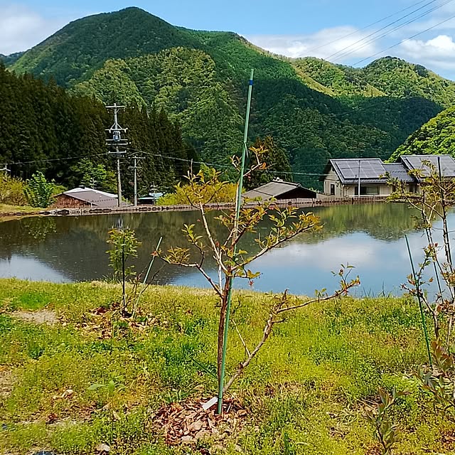 civicglさんの実例写真