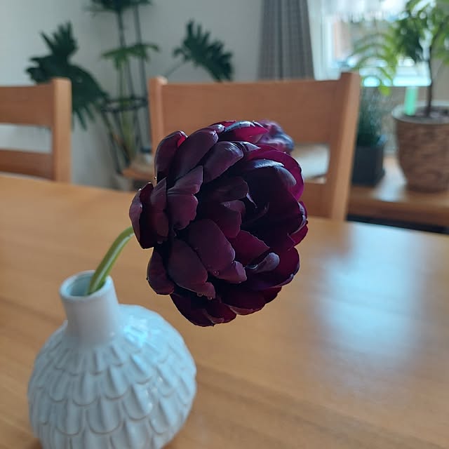 heyasukiさんの実例写真