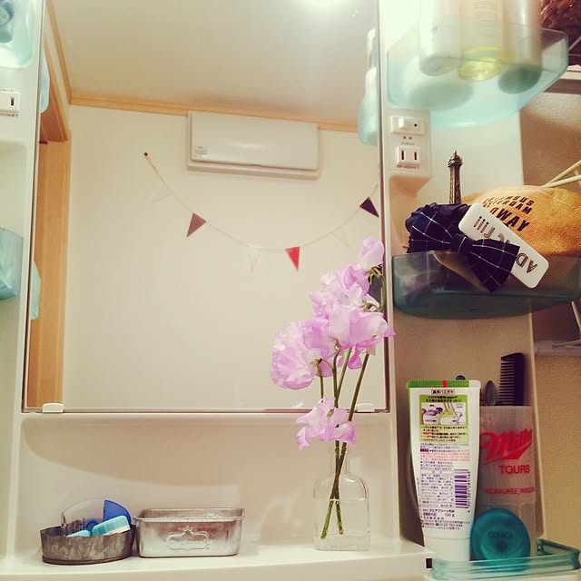 miSaさんの実例写真