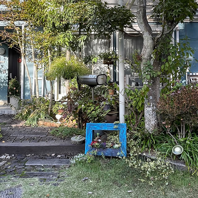 nobikoさんの部屋