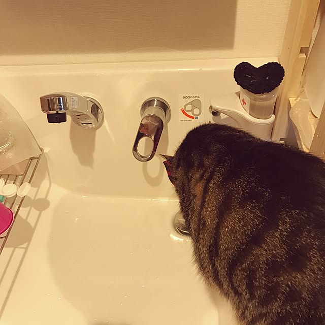 miruさんの実例写真