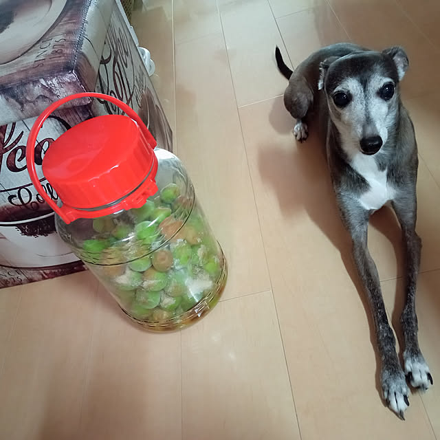 moruさんの実例写真