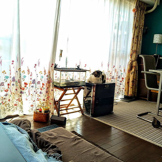 okyosan101さんの実例写真