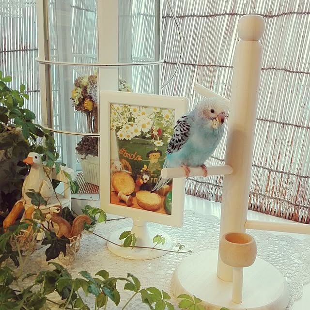 yukkieさんの実例写真