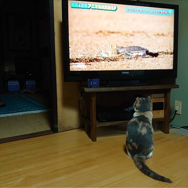 fukuさんの実例写真