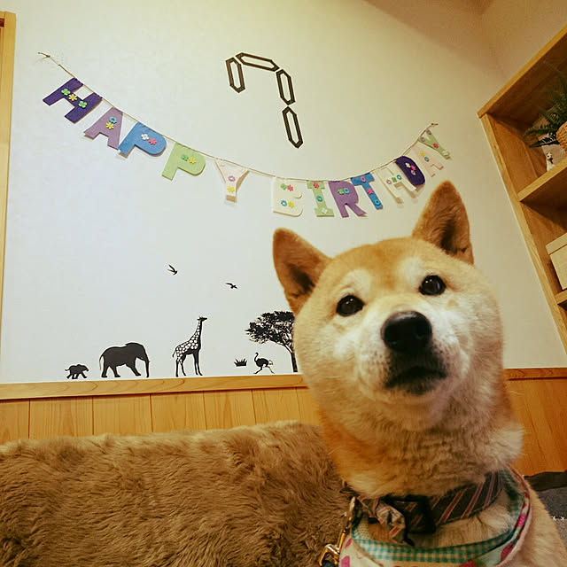 wakaba223さんの実例写真