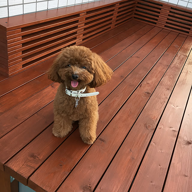 ISM.mumさんの実例写真
