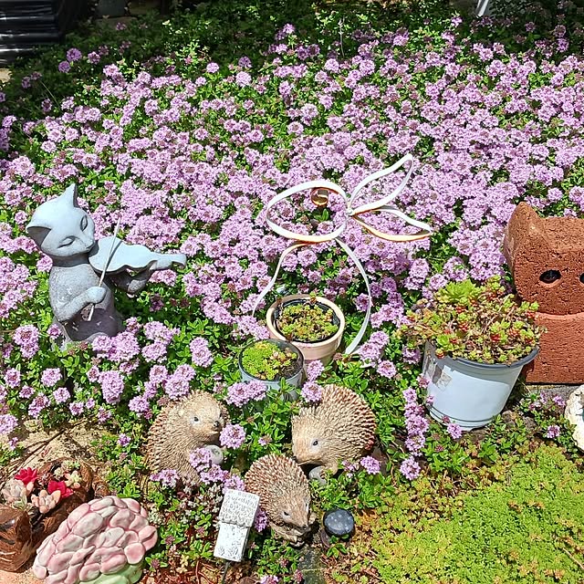 aiさんの部屋