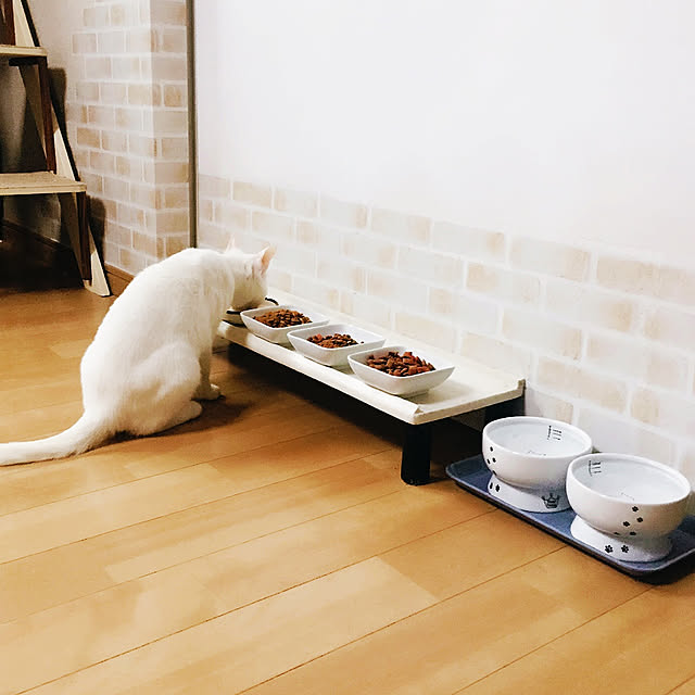 kirakirahikaru814さんの実例写真