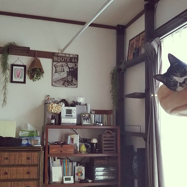 shinoさんの実例写真