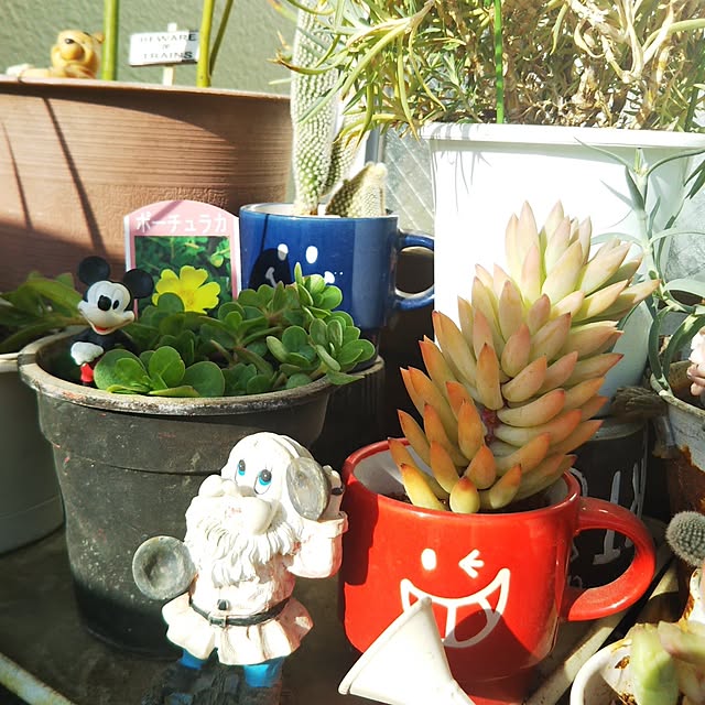 Yurieさんの部屋