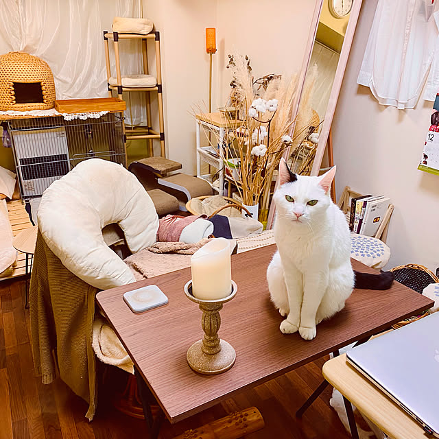 YUKAさんの実例写真