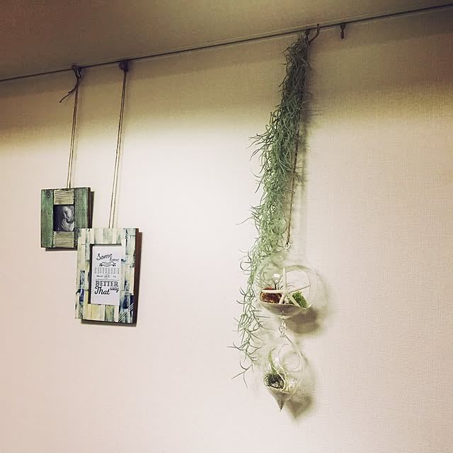 kazuminniexさんの実例写真