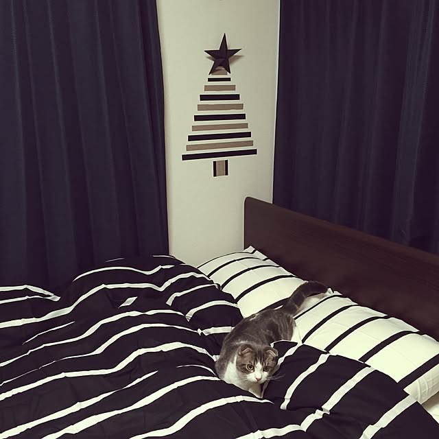 tansukeさんの実例写真