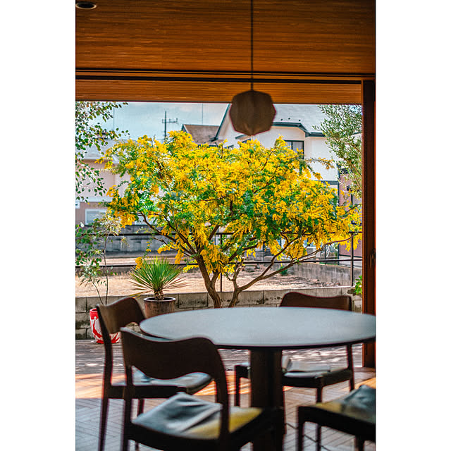 HandTさんの実例写真