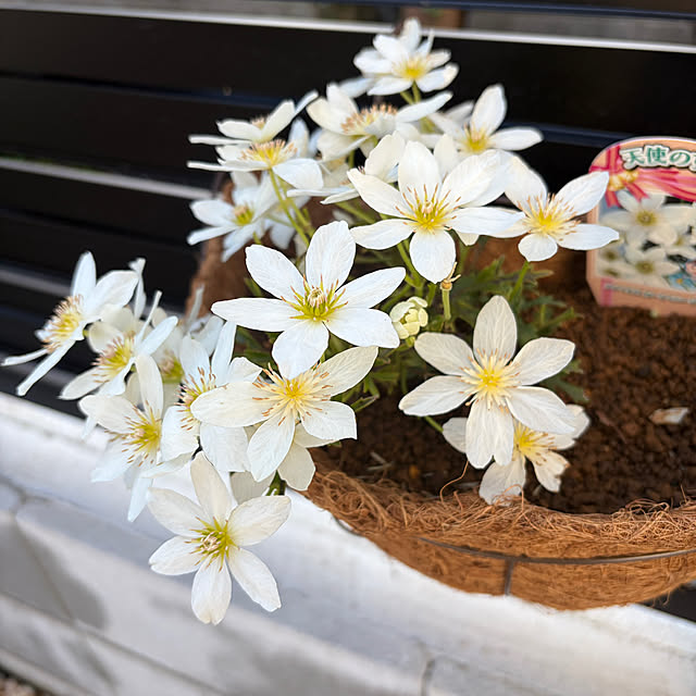 tiroさんの実例写真