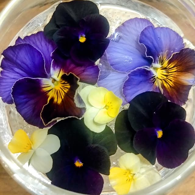 kerochanさんの部屋