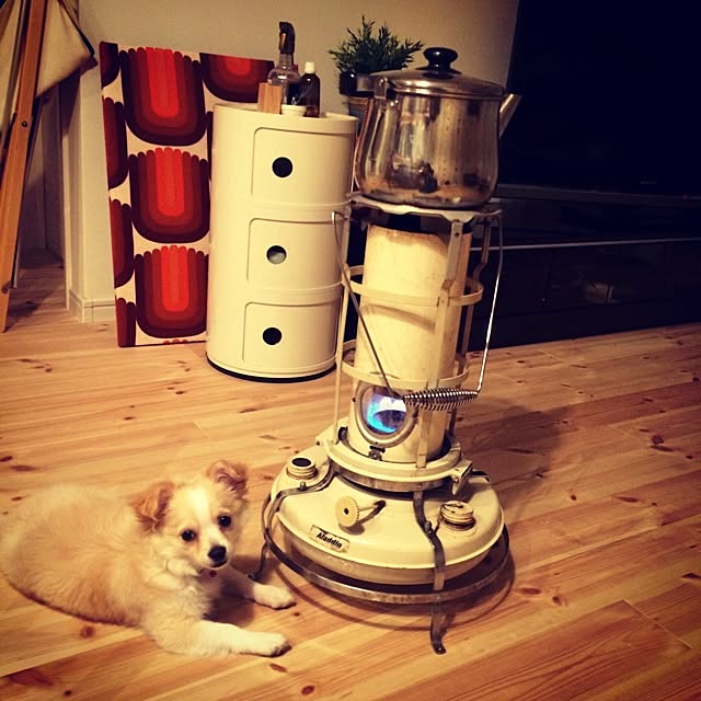 Ryokoさんの実例写真