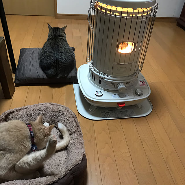 mikan161さんの実例写真
