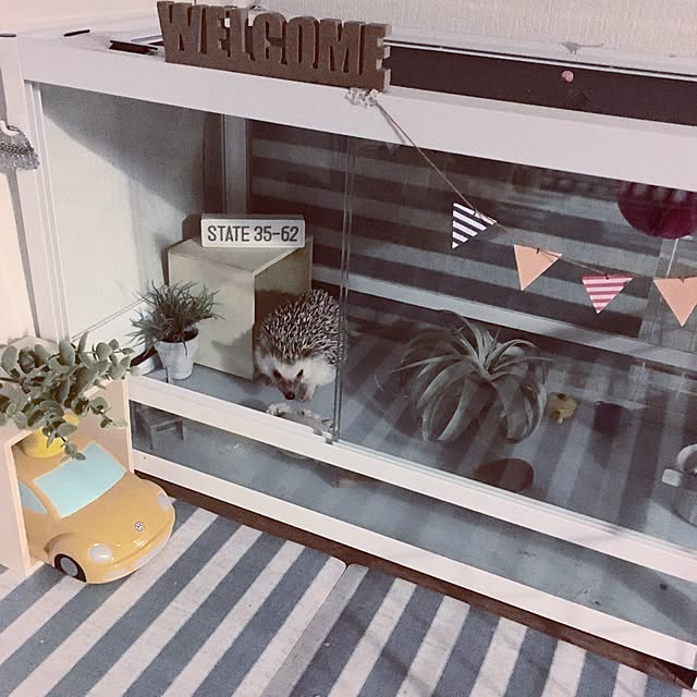 saokoさんの実例写真