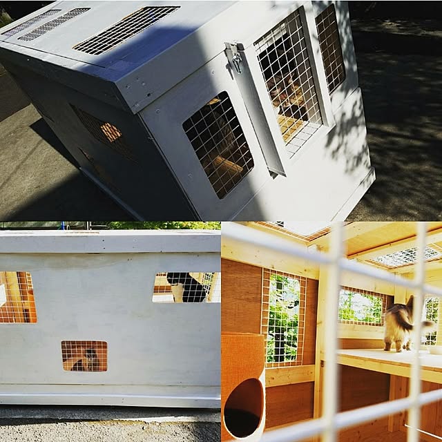 nekogurumaさんの実例写真