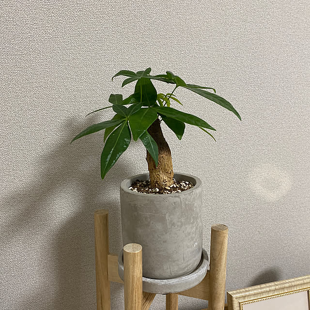 Aryさんの実例写真