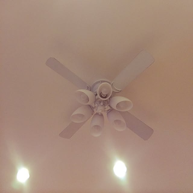 壁/天井のインテリア実例 - 2014-09-13 23:27:51