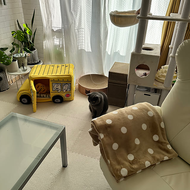 kittyさんの部屋