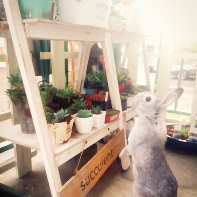 tymnstさんの実例写真