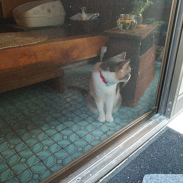 fukuさんの実例写真