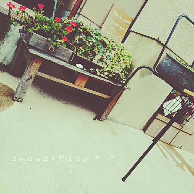 omowaredouさんの実例写真