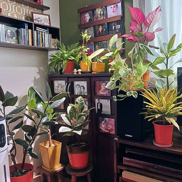 funnyfaceさんの実例写真