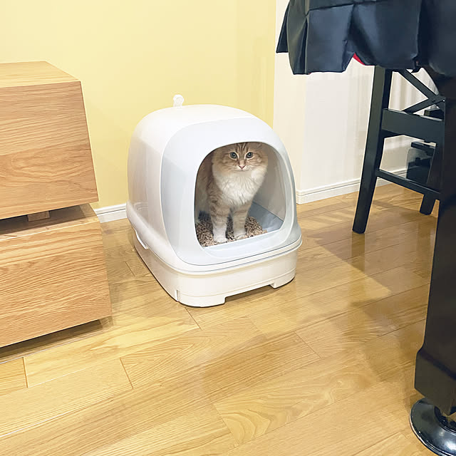 m.r.iさんの実例写真