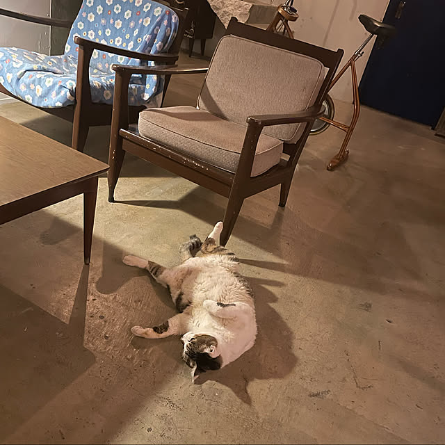 Lisaさんの実例写真