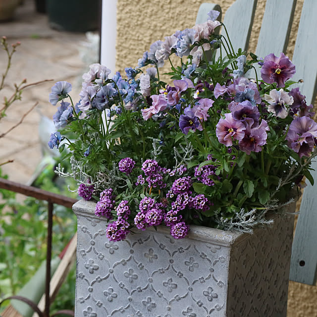 rokokoさんの部屋