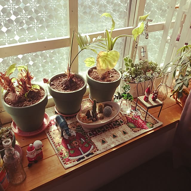 cloverさんの実例写真