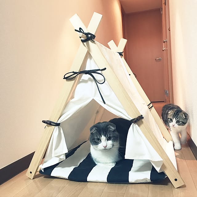 tansukeさんの実例写真
