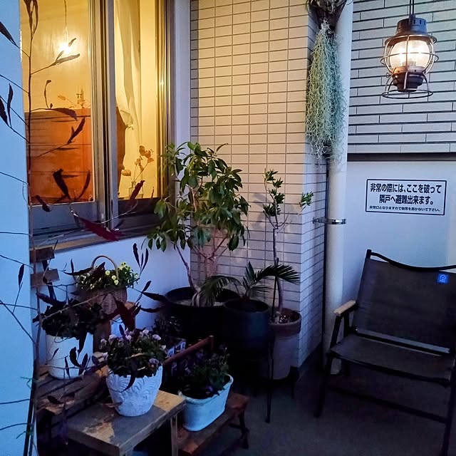 Petit_Pommierさんの部屋