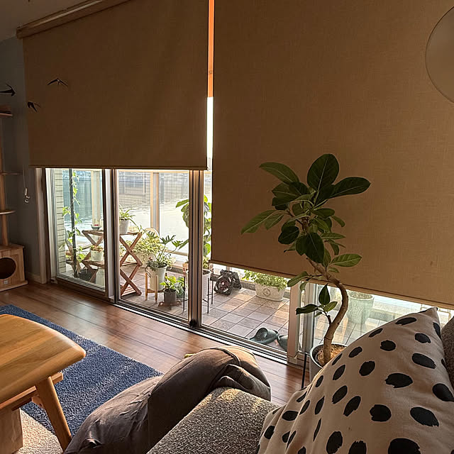 amさんの実例写真