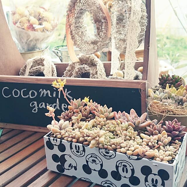 cocomilkさんの実例写真